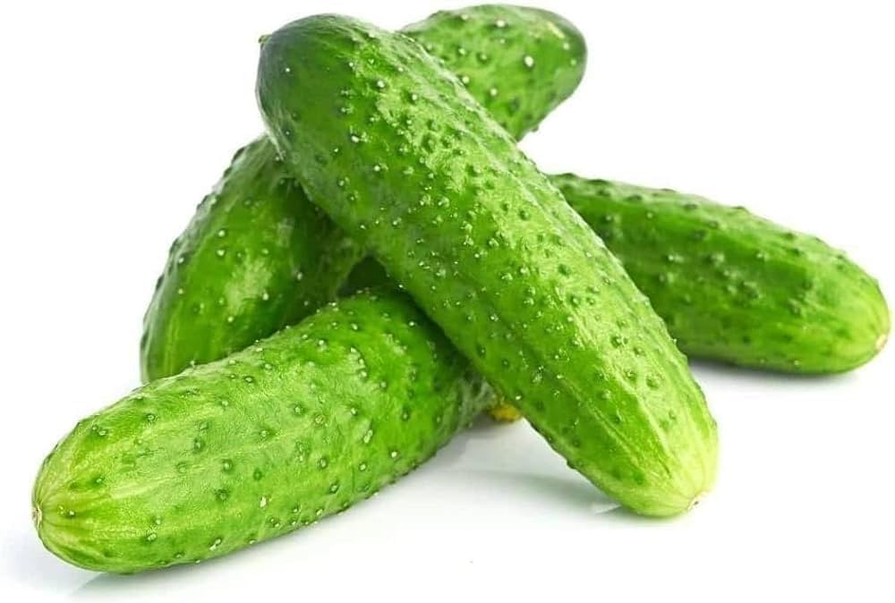Green (Cucumber vegetable) for planting in garden